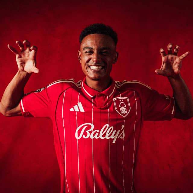 Portrait of Dan Ndoye