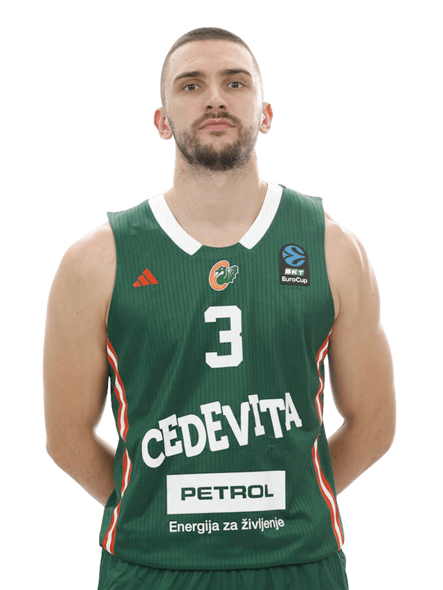 Portrait of Rok Radovic