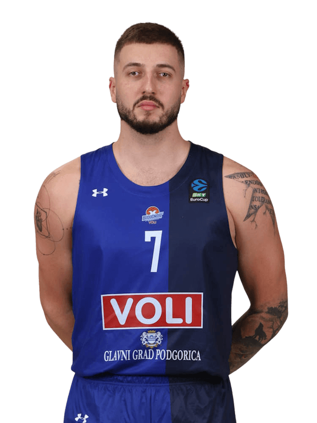 Portrait of Slavkovic