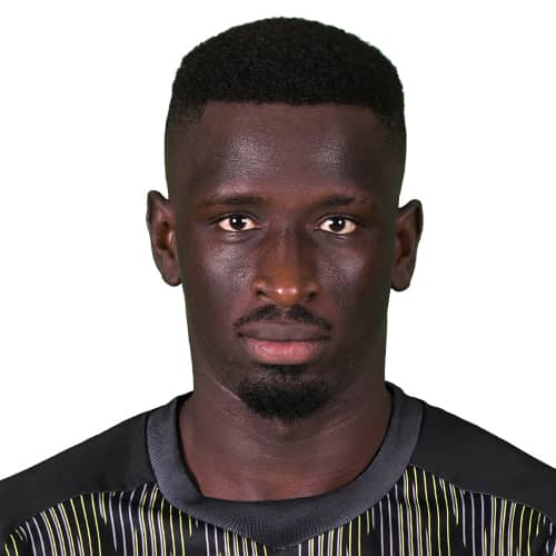 Portrait of Demba Thiam Ngagne